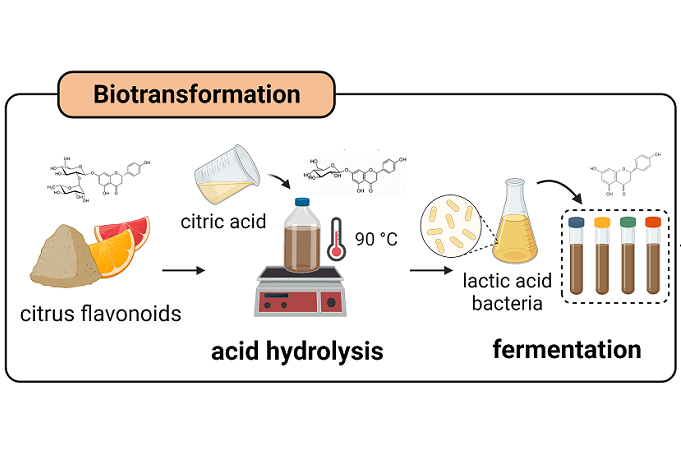 Vorschaubild Studie Nature Paper