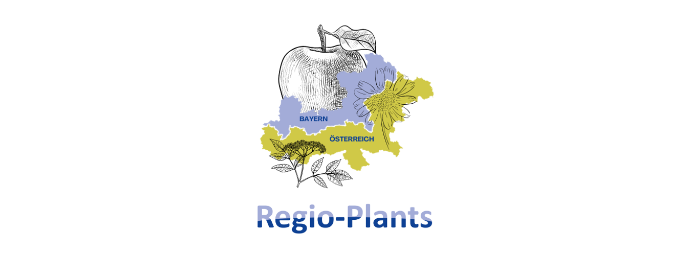 Headerbild Regio Plants