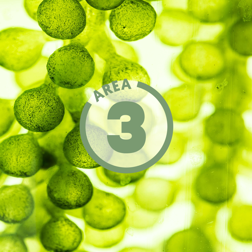 ffoqsi_area-symbol3_gruen