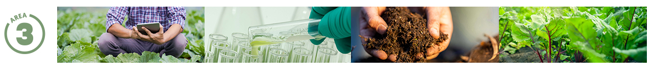 Header Area1 Landscape